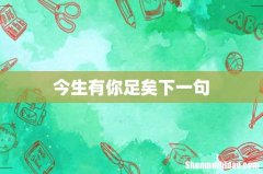 今生有你足矣下一句
