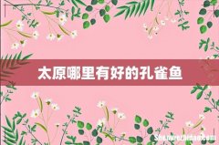 太原哪里有好的孔雀鱼