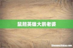 鼠胆英雄大鹏老婆
