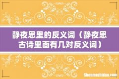 静夜思古诗里面有几对反义词 静夜思里的反义词