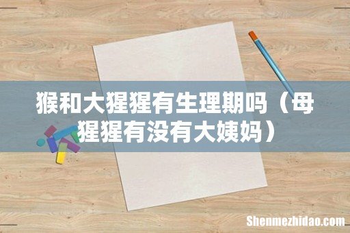 母猩猩有没有大姨妈 猴和大猩猩有生理期吗
