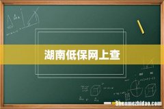 湖南低保网上查