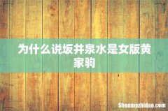 为什么说坂井泉水是女版黄家驹