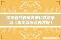 水芙蓉怎么养才好 水芙蓉的养殖方法和注意事项