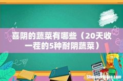 20天收一茬的5种耐阴蔬菜 喜阴的蔬菜有哪些