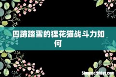 四蹄踏雪的狸花猫战斗力如何