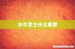 水牛芝士什么意思