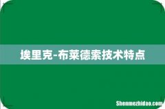 埃里克-布莱德索技术特点
