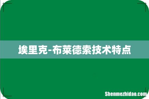 埃里克-布莱德索技术特点
