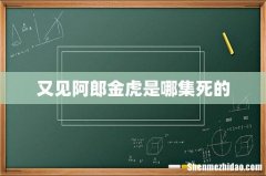 又见阿郎金虎是哪集死的