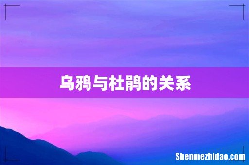 乌鸦与杜鹃的关系