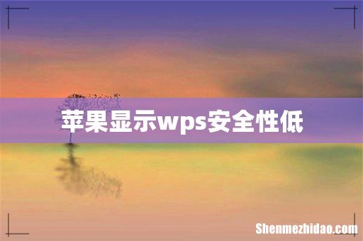 苹果显示wps安全性低