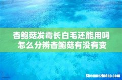 杏鲍菇发霉长白毛还能用吗 怎么分辨杏鲍菇有没有变质