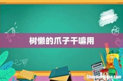 树懒的爪子干嘛用