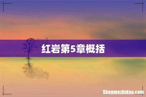 红岩第5章概括