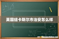 英国纽卡斯尔市治安怎么样