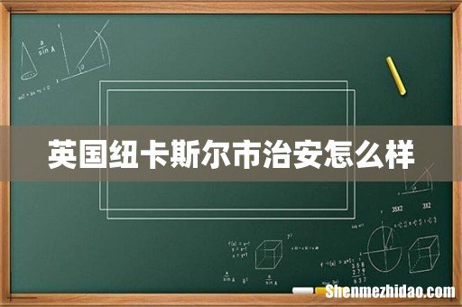 英国纽卡斯尔市治安怎么样