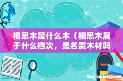 相思木属于什么档次，是名贵木材吗 相思木是什么木