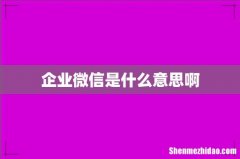 企业微信是什么意思啊