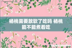 杨桃需要放软了吃吗 杨桃能不能煮着吃