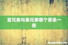 堂兄弟与表兄弟哪个更亲一些