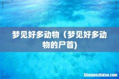 梦见好多动物（梦见好多动物的尸首)