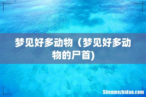 梦见好多动物(梦见好多动物的尸首)