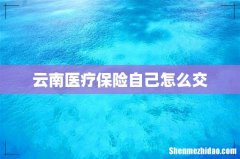 云南医疗保险自己怎么交