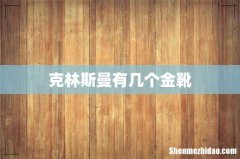 克林斯曼有几个金靴