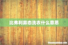 比弗利雾态洗衣什么意思