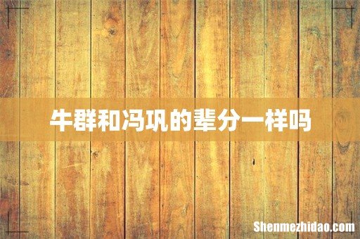 牛群和冯巩的辈分一样吗