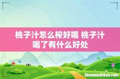 桃子汁怎么榨好喝 桃子汁喝了有什么好处