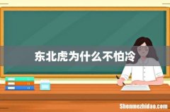 东北虎为什么不怕冷