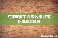 红枣吃多了会怎么样 红枣补血三大禁忌