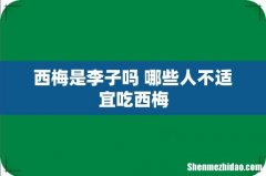 西梅是李子吗 哪些人不适宜吃西梅