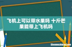 飞机上可以带水果吗 十斤芒果能带上飞机吗