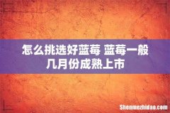 怎么挑选好蓝莓 蓝莓一般几月份成熟上市