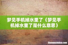 梦见手机掉水里了是什么意思 梦见手机掉水里了