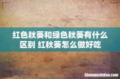 红色秋葵和绿色秋葵有什么区别 红秋葵怎么做好吃