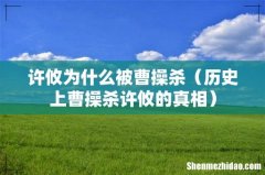历史上曹操杀许攸的真相 许攸为什么被曹操杀