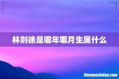 林则徐是哪年哪月生属什么