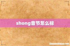 shong音节怎么标