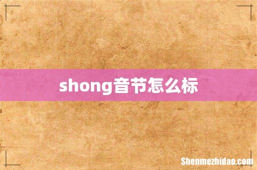 shong音节怎么标