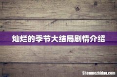 灿烂的季节大结局剧情介绍