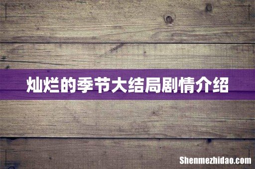 灿烂的季节大结局剧情介绍