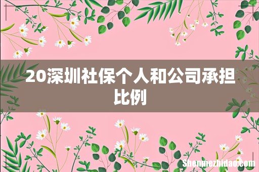 20深圳社保个人和公司承担比例