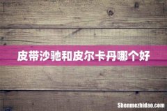 皮带沙驰和皮尔卡丹哪个好