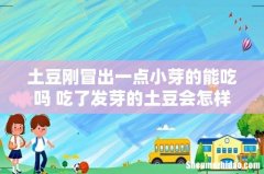 土豆刚冒出一点小芽的能吃吗 吃了发芽的土豆会怎样