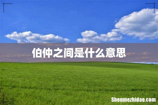 伯仲之间是什么意思