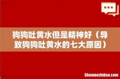 导致狗狗吐黄水的七大原因 狗狗吐黄水但是精神好